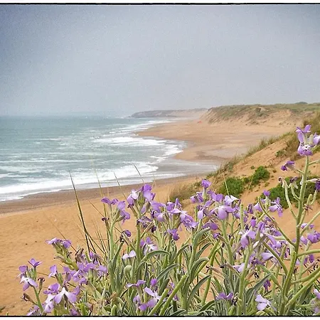 Nyaraló Le Bocage 38 - Bourgenay - Piscine Chauffee